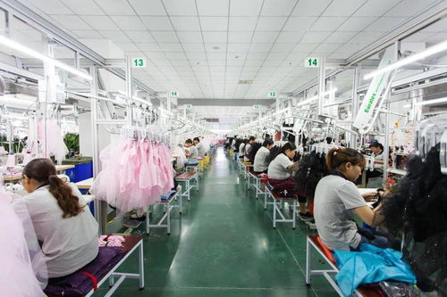 堅(jiān)持科技創(chuàng)新，引領(lǐng)會(huì)員企業(yè)高質(zhì)量發(fā)展取得新成果——聚焦科技技術(shù)開(kāi)發(fā)